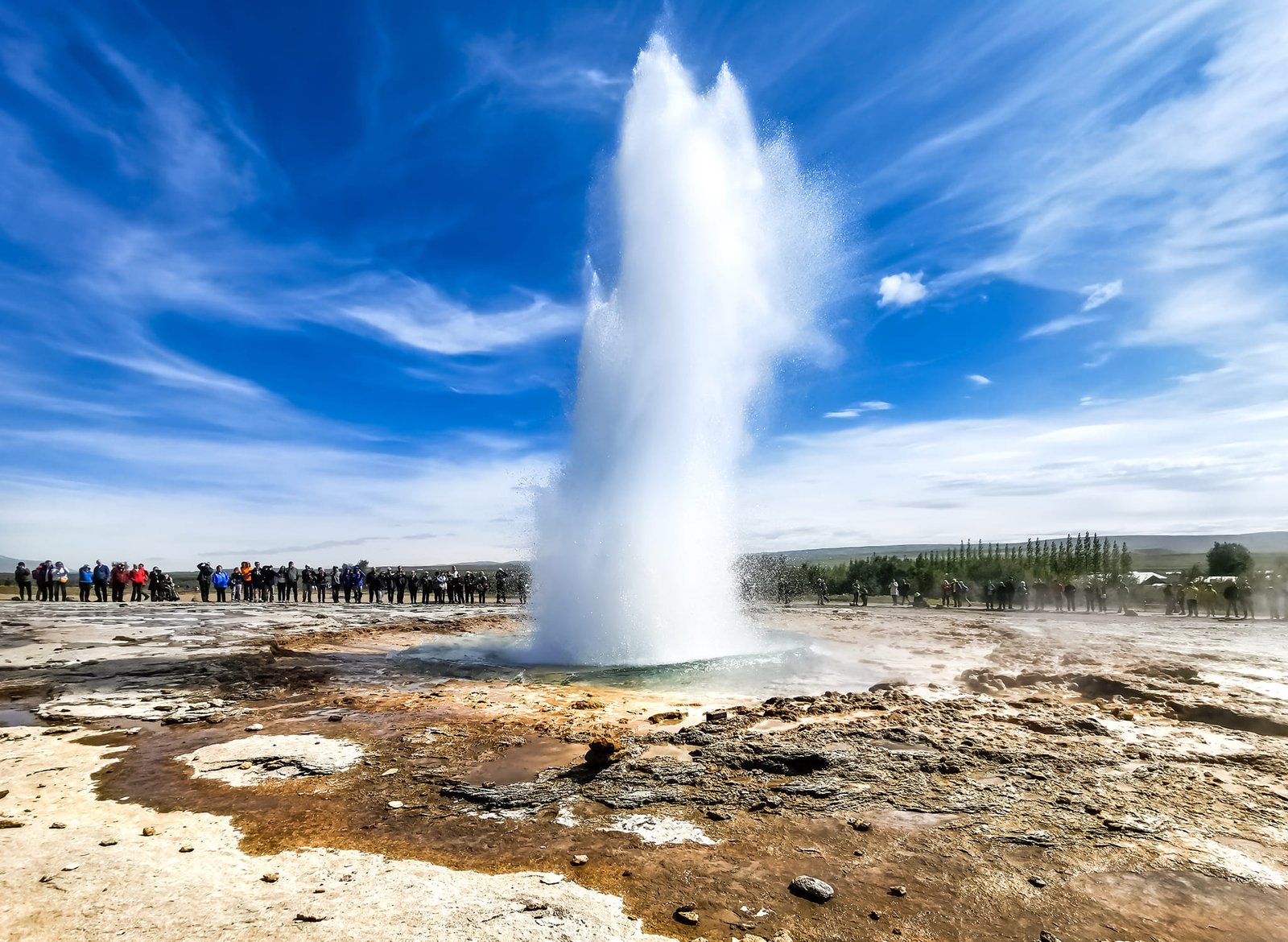 453093909_122120286398359681_8870120813543051225_n