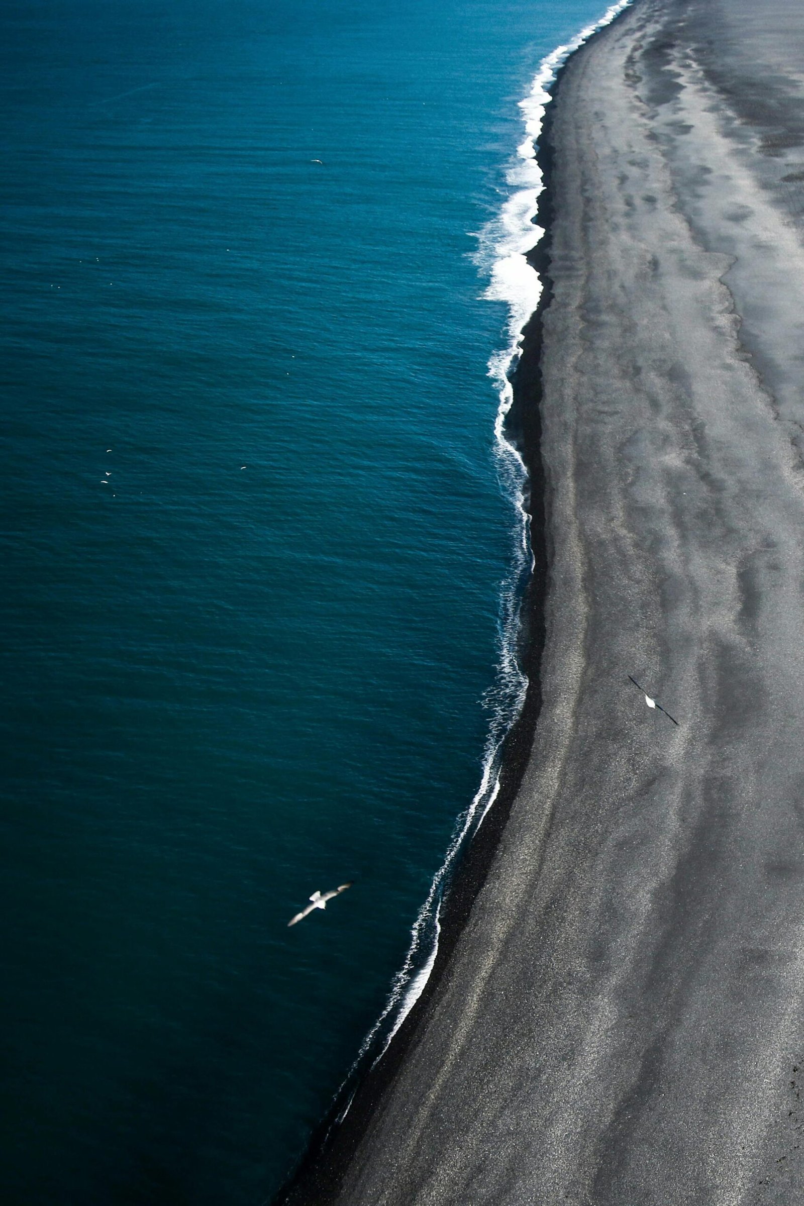 A breathtaking aerial view of a remote Icelandic beach merging with the vibrant blue ocean.
